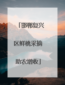 邯郸复兴区鲜桃采摘助农增收