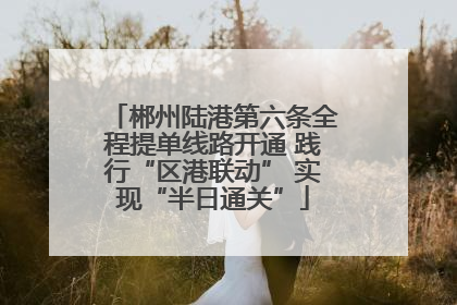 郴州陆港第六条全程提单线路开通 践行“区港联动” 实现“半日通关”