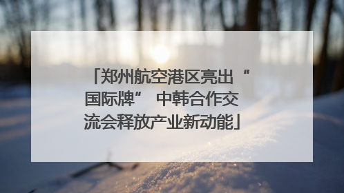 郑州航空港区亮出“国际牌” 中韩合作交流会释放产业新动能