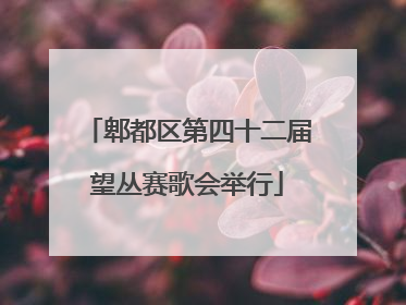 郫都区第四十二届望丛赛歌会举行