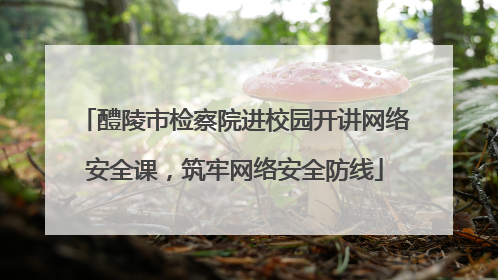 醴陵市检察院进校园开讲网络安全课，筑牢网络安全防线