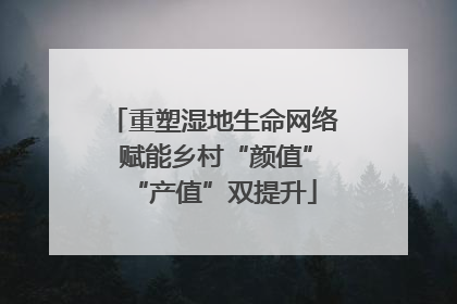 重塑湿地生命网络 赋能乡村“颜值”“产值”双提升