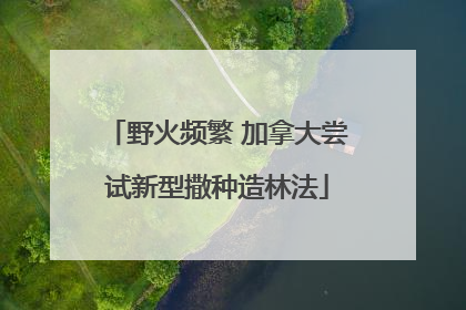 野火频繁 加拿大尝试新型撒种造林法