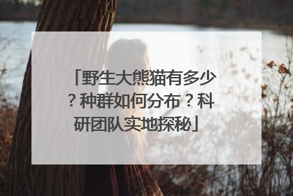 野生大熊猫有多少？种群如何分布？科研团队实地探秘