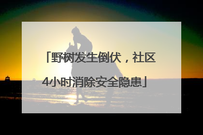 野树发生倒伏，社区4小时消除安全隐患