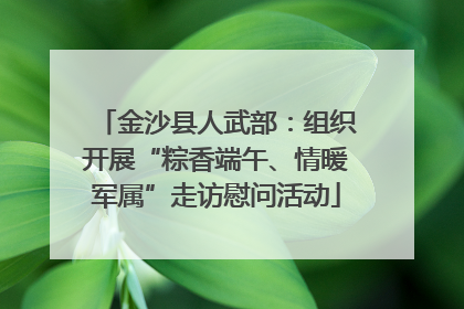 金沙县人武部：组织开展“粽香端午、情暖军属”走访慰问活动
