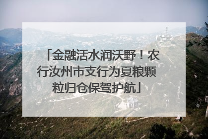 金融活水润沃野！农行汝州市支行为夏粮颗粒归仓保驾护航