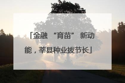 金融 “育苗” 新动能，莘县种业拔节长