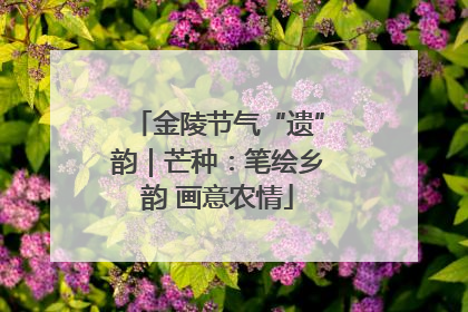 金陵节气“遗”韵｜芒种：笔绘乡韵 画意农情