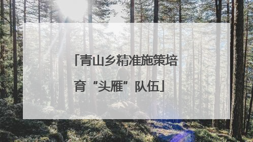 青山乡精准施策培育“头雁”队伍