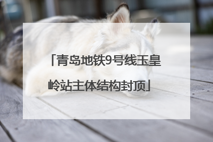 青岛地铁9号线玉皇岭站主体结构封顶