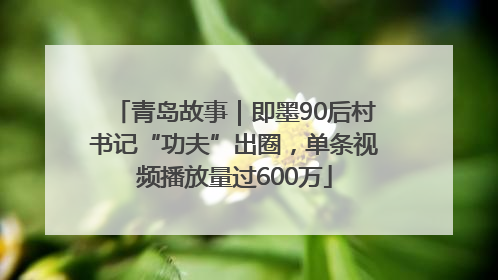 青岛故事｜即墨90后村书记“功夫”出圈，单条视频播放量过600万