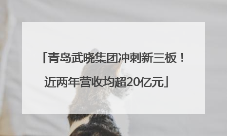 青岛武晓集团冲刺新三板！近两年营收均超20亿元