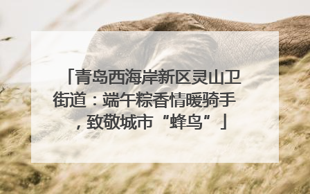 青岛西海岸新区灵山卫街道：端午粽香情暖骑手，致敬城市“蜂鸟”