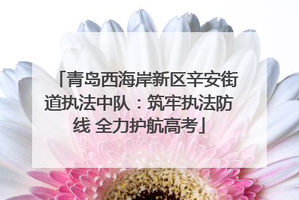 青岛西海岸新区辛安街道执法中队：筑牢执法防线 全力护航高考