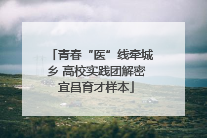 青春“医”线牵城乡 高校实践团解密宜昌育才样本