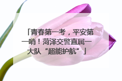 青春第一考，平安第一哨！菏泽交警直属一大队“超能护航”