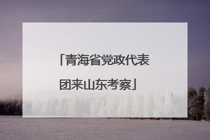 青海省党政代表团来山东考察