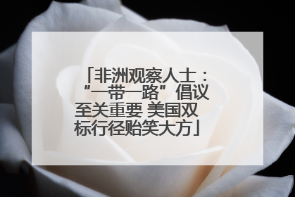 非洲观察人士：“一带一路”倡议至关重要 美国双标行径贻笑大方