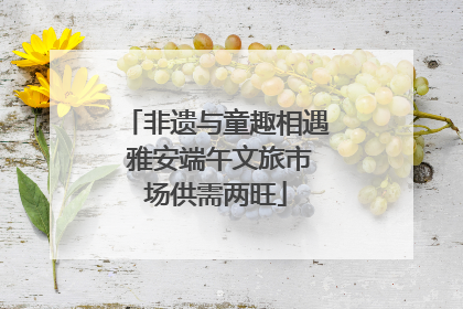 非遗与童趣相遇 雅安端午文旅市场供需两旺