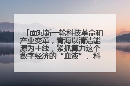 面对新一轮科技革命和产业变革，青海以清洁能源为主线，紧抓算力这个数字经济的“血液”、科技主权的“筹码”、产业升级的“杠杆”、绿色转型的“支点”，勇于撬动国家“双碳”战略、“东数西算”工程重大发展新机遇