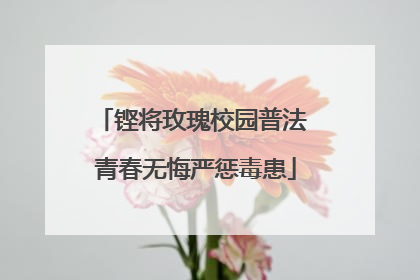 铿将玫瑰校园普法 青春无悔严惩毒患