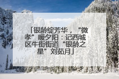 银龄绽芳华，“微孝”暖夕阳：记西城区牛街街道“银龄之星”刘茹月