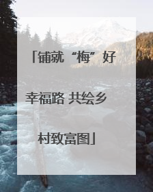 铺就“梅”好幸福路 共绘乡村致富图