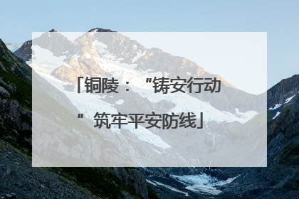 铜陵：“铸安行动”筑牢平安防线