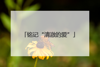 铭记“清澈的爱”