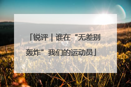 锐评｜谁在“无差别轰炸”我们的运动员