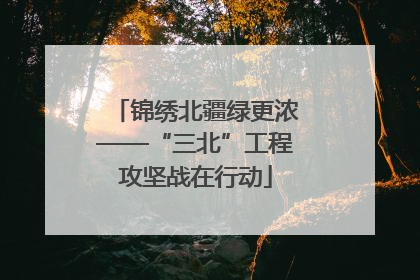 锦绣北疆绿更浓——“三北”工程攻坚战在行动