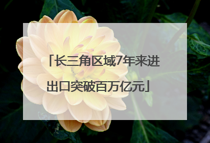 长三角区域7年来进出口突破百万亿元