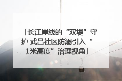 长江岸线的“双堤”守护 武昌社区防溺引入“1米高度”治理视角