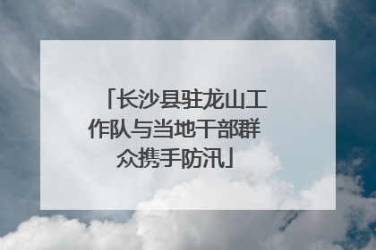 长沙县驻龙山工作队与当地干部群众携手防汛