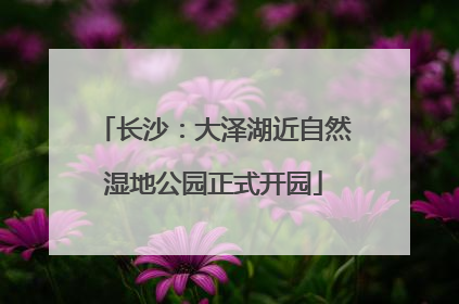 长沙：大泽湖近自然湿地公园正式开园