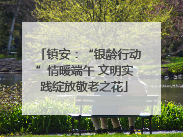 镇安：“银龄行动”情暖端午 文明实践绽放敬老之花