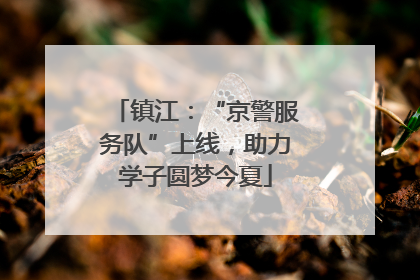 镇江：“京警服务队”上线，助力学子圆梦今夏