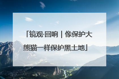 镜观·回响｜像保护大熊猫一样保护黑土地