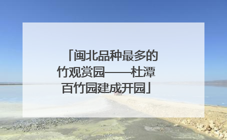 闽北品种最多的竹观赏园——杜潭百竹园建成开园