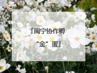 闽宁协作孵“金”蛋