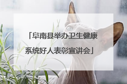 阜南县举办卫生健康系统好人表彰宣讲会