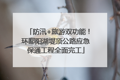 防汛+旅游双功能！环鄱阳湖堤顶公路应急保通工程全面完工