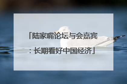 陆家嘴论坛与会嘉宾：长期看好中国经济