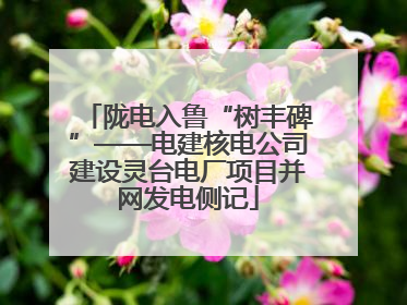 陇电入鲁“树丰碑”——电建核电公司建设灵台电厂项目并网发电侧记
