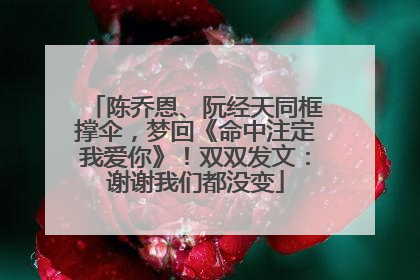陈乔恩、阮经天同框撑伞，梦回《命中注定我爱你》！双双发文：谢谢我们都没变