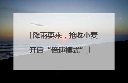 降雨要来，抢收小麦开启“倍速模式”