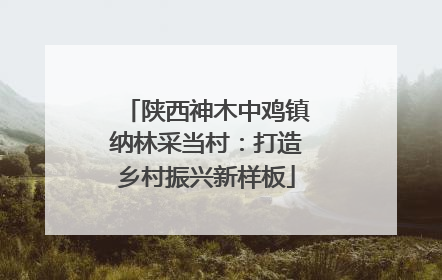 陕西神木中鸡镇纳林采当村：打造乡村振兴新样板