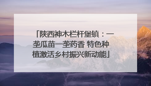 陕西神木栏杆堡镇：一垄瓜苗一垄药香 特色种植激活乡村振兴新动能