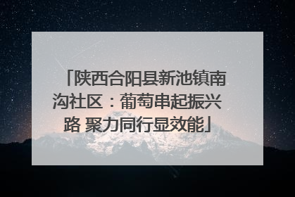 陕西合阳县新池镇南沟社区：葡萄串起振兴路 聚力同行显效能